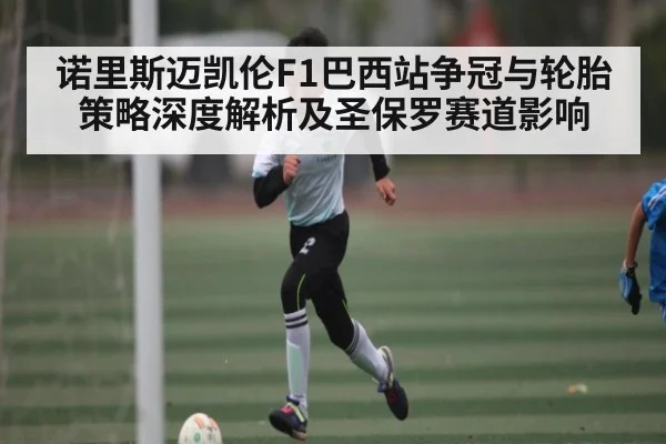 诺里斯迈凯伦F1巴西站争冠与轮胎策略深度解析及圣保罗赛道影响